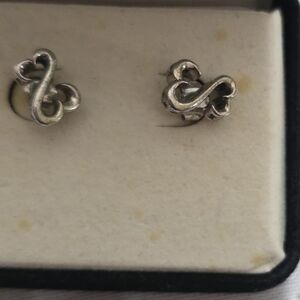Chic Silver Swirl Earrings